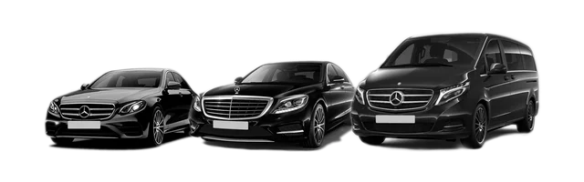 flotte vehicules taxis orly